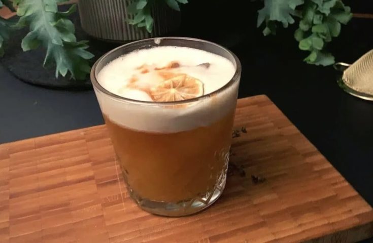 Mezcal Sour Cocktail