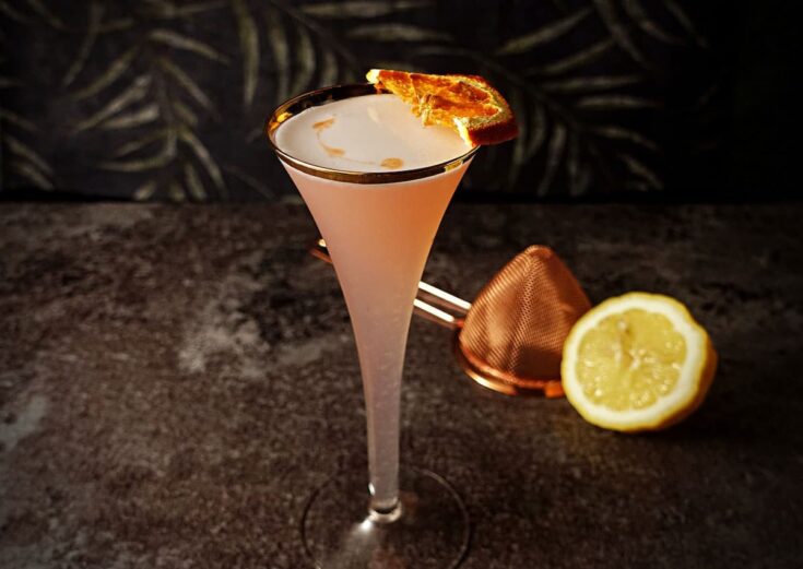 Pink Gin Sour Cocktail