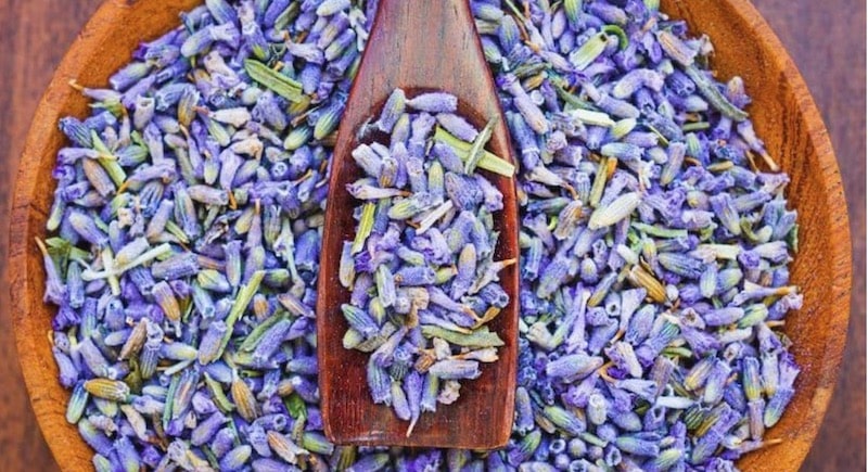 Lavendelblüten für Sirup